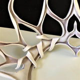 WINTER FANTASY CROWN-OF-THORNS / Glossy White-as-Snow